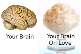 your-brain-on-love